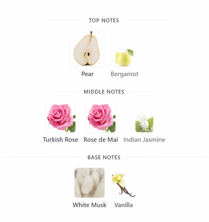 SAPIL Joy Edp | 100 ml