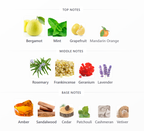 ARMAF The Lion's Club Valer Edp | 100 ml