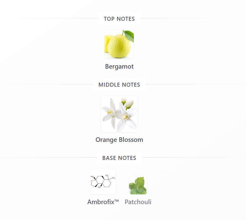 VELIXIR Narcisus Edp | 100 ml