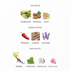 AFNAN 9PM Elixir | 100 ml