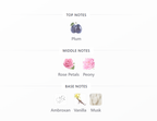 RIIFFS Prive Rose Edp | 100 ml