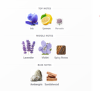 ARMAF Tres Nuit Edp | 100 ml