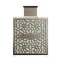 RAYHAAN Terra Edp | 100 ml