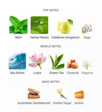 MONTALE Herbal Aquatica EDP | 100 ml