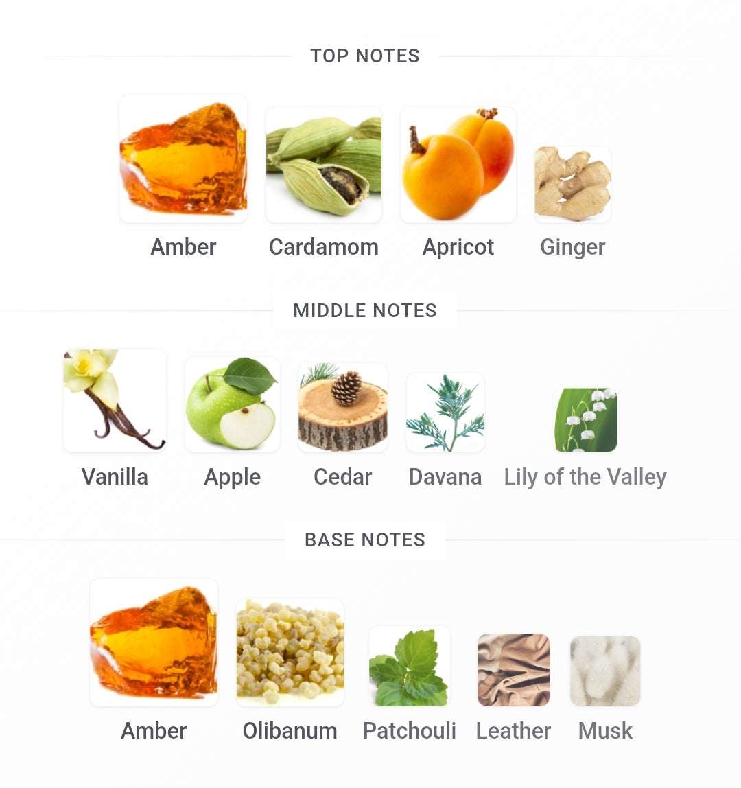 Swiss Arabian Shaghaf Amber Infusion Extrait | 75 ml