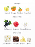 Fragrance World Nudo Sweet Berries EDP | 100 ml