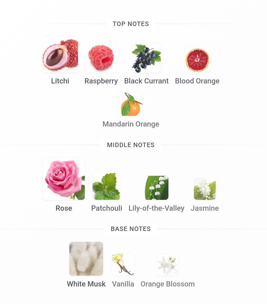 MONTALE Candy Rose Edp | 100 ml