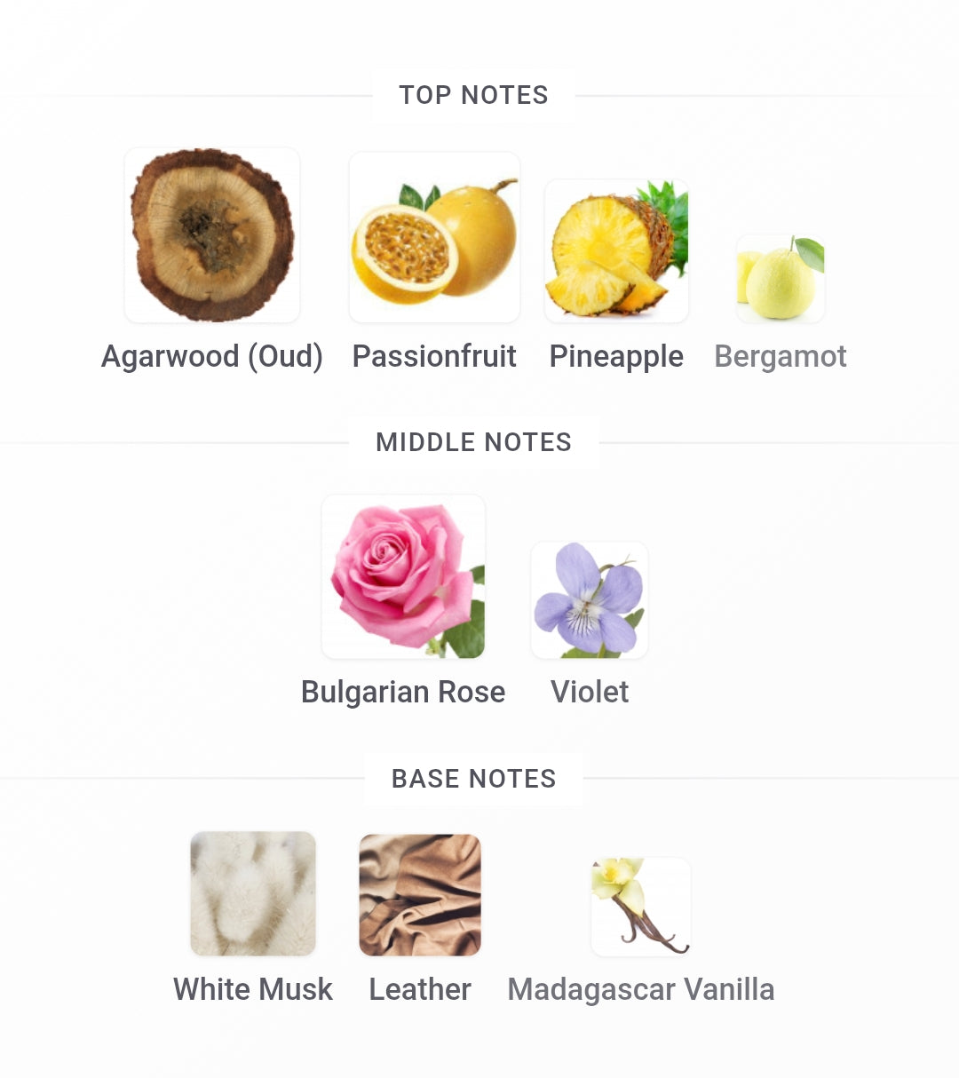 MONTALE Tropical Wood Edp | 100 ml
