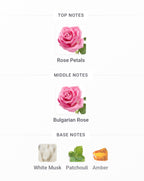 MONTALE Rose Night Edp | 100 ml