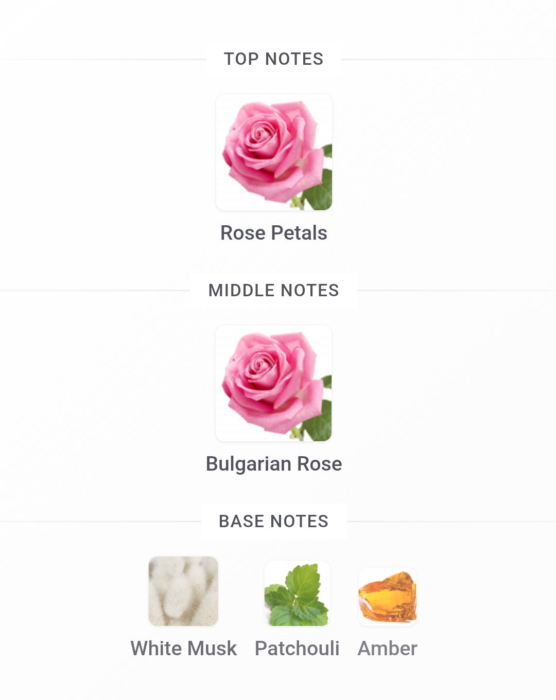 MONTALE Rose Night Edp | 100 ml