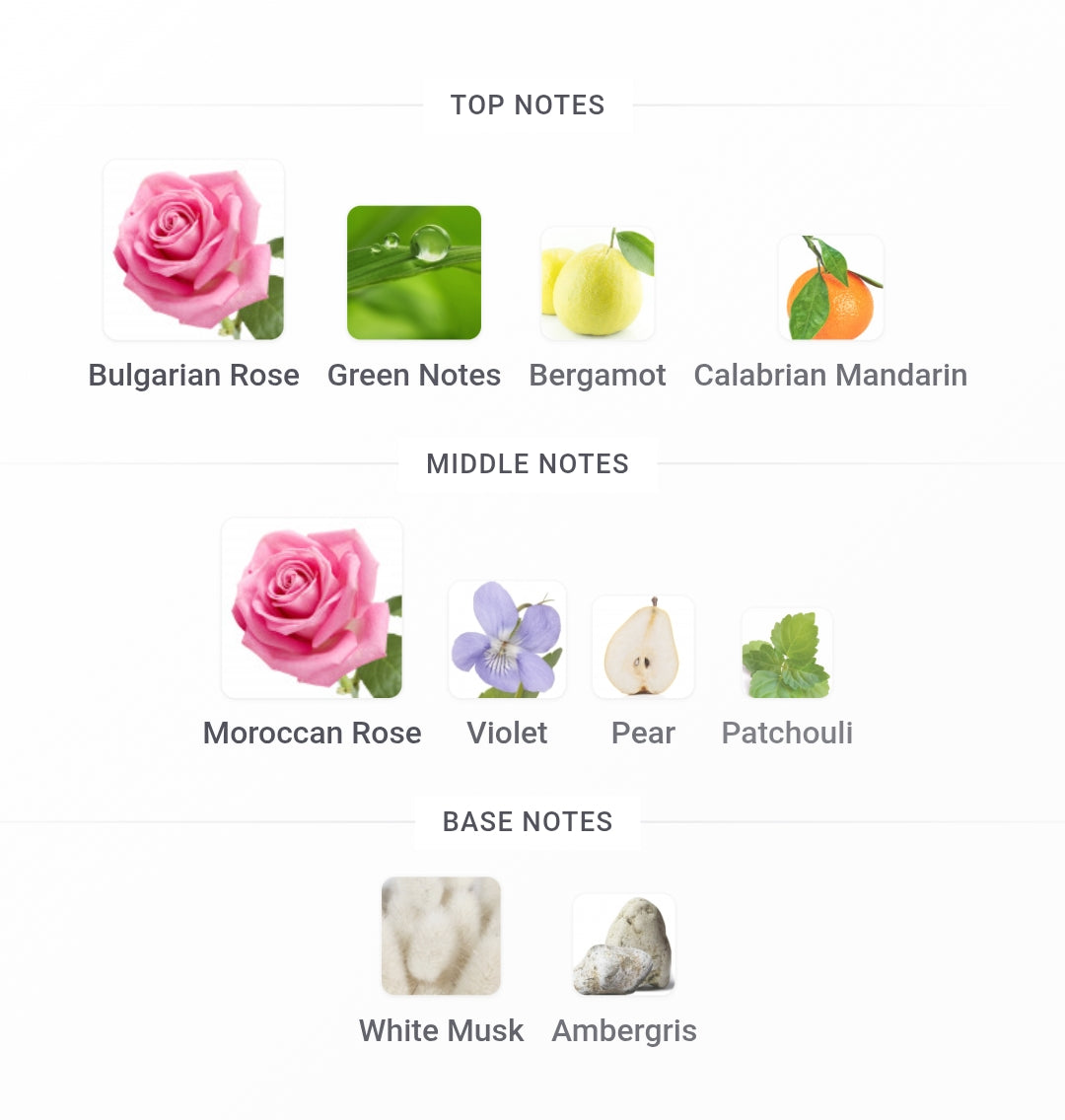 MANCERA Pink Roses Edp | 120 ml