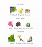 FRAGRANCE WORLD Suits Edp | 100 ml