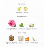 MANCERA Wild Rose Oud Edp | 120 ml