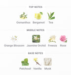 STREET ORIGINS Singapore Prim Edp | 75 ml